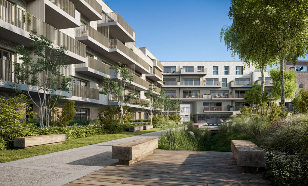 The landscaping project of the shared garden